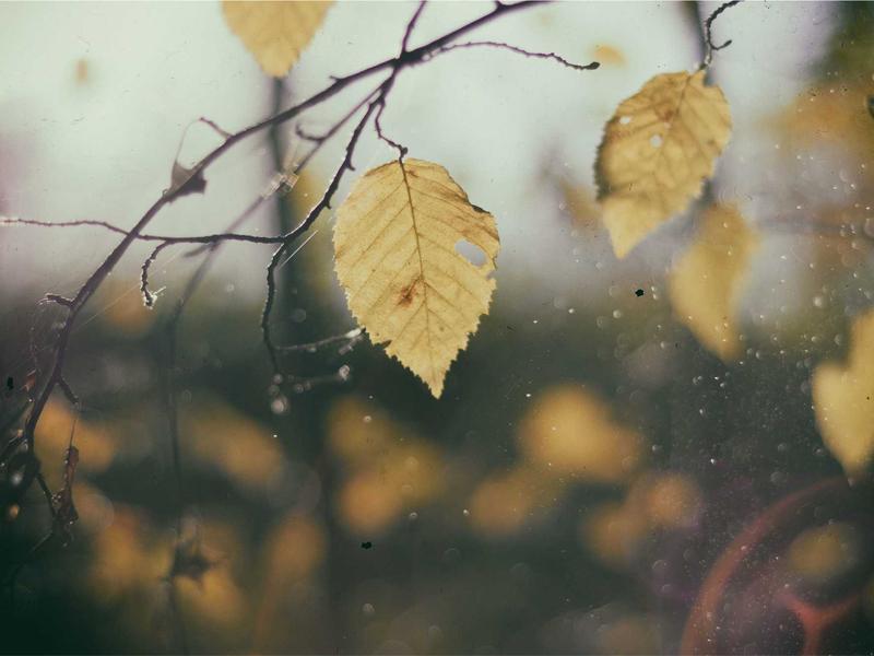 花开见佛<br>qyi4ujty.cn 刹那顿悟时刻